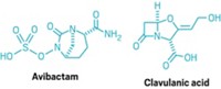 Serving the chemical, life science, and laboratory worlds