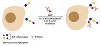 Serving the chemical, life science, and laboratory worlds