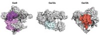 Serving the chemical, life science, and laboratory worlds