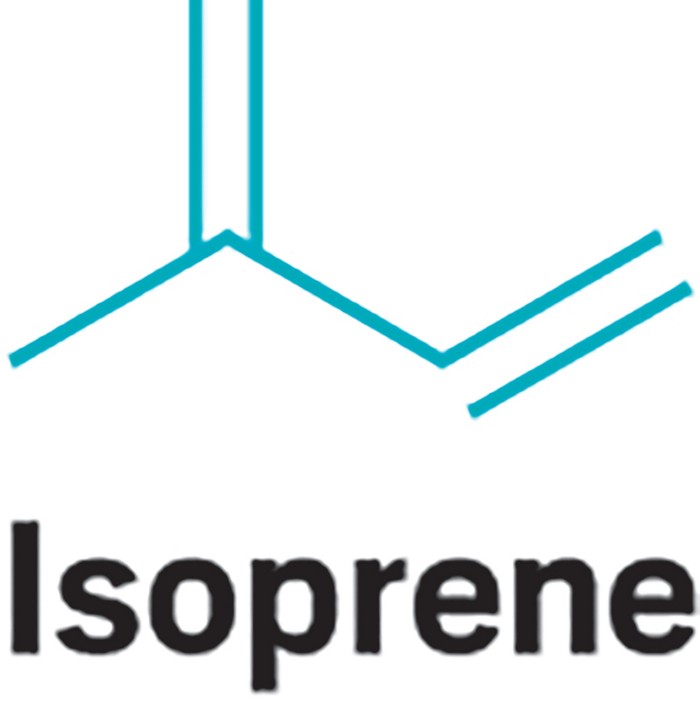 Gevo says new catalytic process makes cheap bio-isoprene