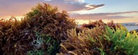 Serving the chemical, life science, and laboratory worlds