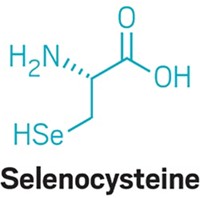 Serving the chemical, life science, and laboratory worlds