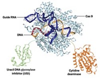 Serving the chemical, life science, and laboratory worlds