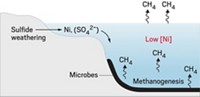 Serving the chemical, life science, and laboratory worlds