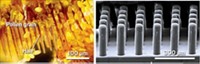 Serving the chemical, life science, and laboratory worlds