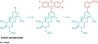 Serving the chemical, life science, and laboratory worlds