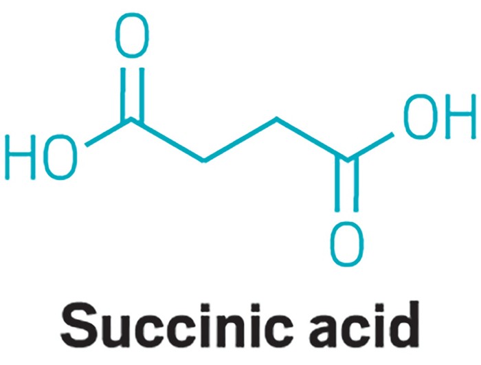 Acid это. Succinic acid. Янтарной кислоты/ succinic acid. Succinic acid айхерб. Succinic acid IHERB.