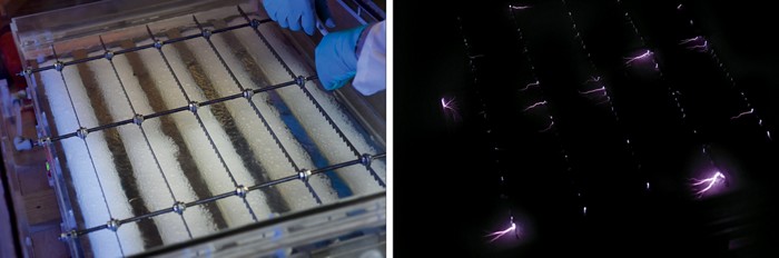 A photo of a rectangular tank of water with electrodes surrounding it. A photo of purpla plasma streams reaching into the surface of the water.