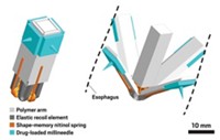 Serving the chemical, life science, and laboratory worlds