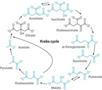 Serving the chemical, life science, and laboratory worlds