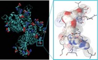 Serving the chemical, life science, and laboratory worlds