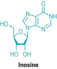 Serving the chemical, life science, and laboratory worlds