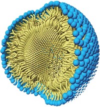Serving the chemical, life science, and laboratory worlds