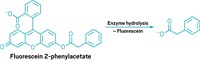 Serving the chemical, life science, and laboratory worlds