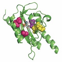 Serving the chemical, life science, and laboratory worlds