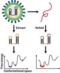 Serving the chemical, life science, and laboratory worlds