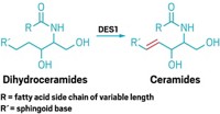 Serving the chemical, life science, and laboratory worlds
