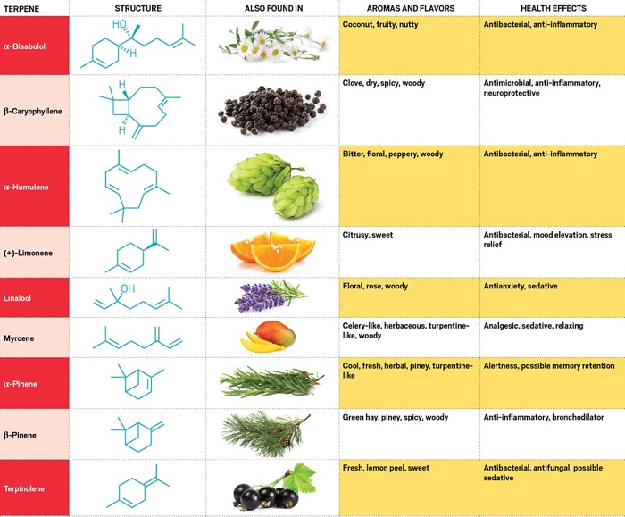 Cannabis industry gets crafty with terpenes