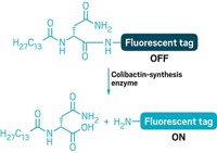 Serving the chemical, life science, and laboratory worlds