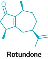 Serving the chemical, life science, and laboratory worlds