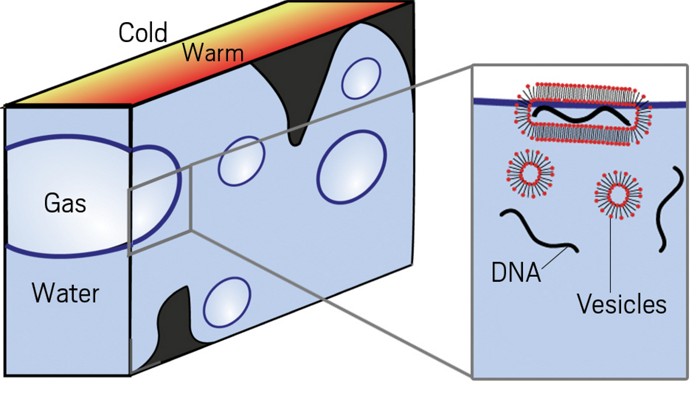 Bubbly beginnings for life's first molecules, Research