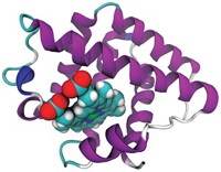 Serving the chemical, life science, and laboratory worlds