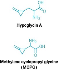 Serving the chemical, life science, and laboratory worlds