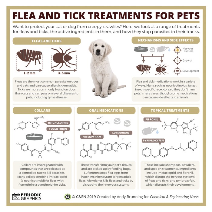 what chemical is released when you pet a dog