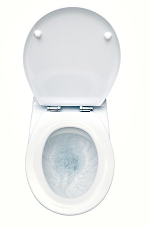 Standard Soft Padded Toilet Seat - Independent Again