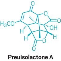 Serving the chemical, life science, and laboratory worlds