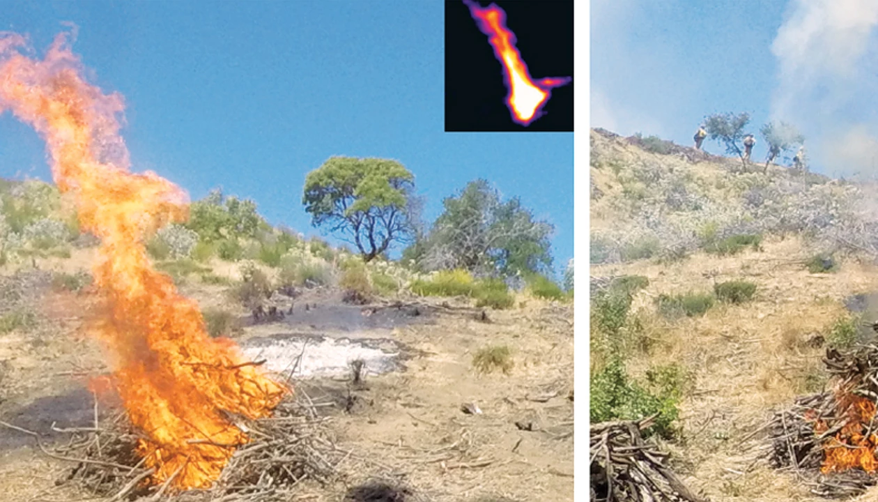 Long-lasting fire retardant protects grasses and brush
