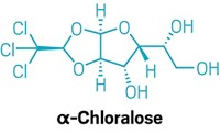 How Does Rat Poison Work? What You Need To Know — Dalton Engineering