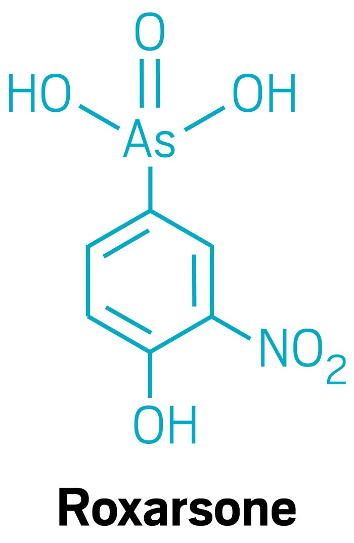 China’s arsenic ban in animal feed will yield huge benefits, study predicts