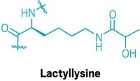 Serving the chemical, life science, and laboratory worlds