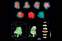 Serving the chemical, life science, and laboratory worlds