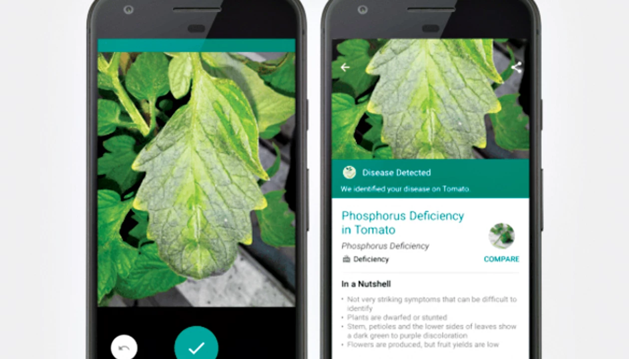 App for developing-world farmers attracts funds