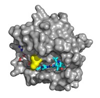 Serving the chemical, life science, and laboratory worlds