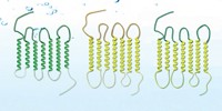 Serving the chemical, life science, and laboratory worlds
