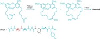 Serving the chemical, life science, and laboratory worlds