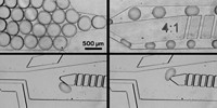 Serving the chemical, life science, and laboratory worlds