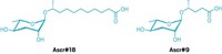 Serving the chemical, life science, and laboratory worlds