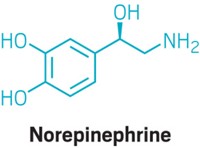 Serving the chemical, life science, and laboratory worlds