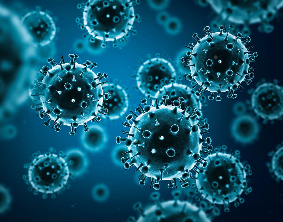 What does 'survival of the fittest' mean in the coronavirus pandemic? Look  to the immune system