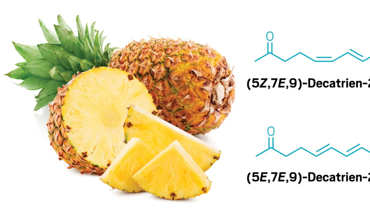 Edible fungus yields new pineapple flavor molecule