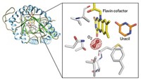 Serving the chemical, life science, and laboratory worlds