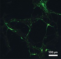 Serving the chemical, life science, and laboratory worlds