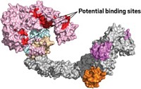 Serving the chemical, life science, and laboratory worlds