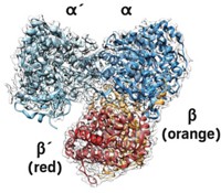 Serving the chemical, life science, and laboratory worlds