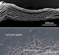 Serving the chemical, life science, and laboratory worlds