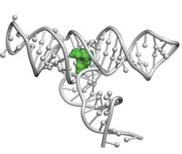 Serving the chemical, life science, and laboratory worlds